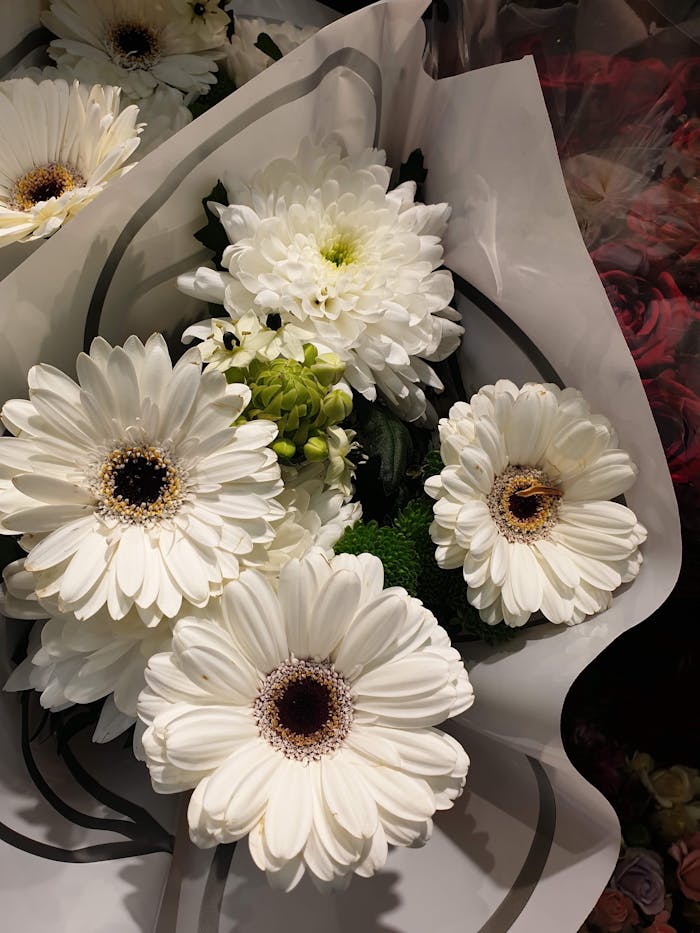 A close-up of a beautiful white flower bouquet with gerberas and chrysanthemums, perfect for gifts.